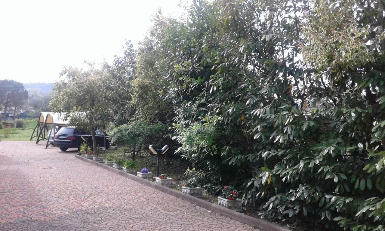 Le Palme Bed & Breakfast Chieti Exterior foto